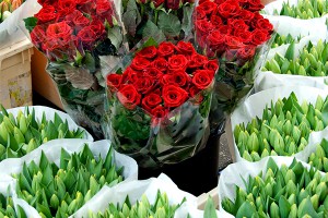 Запрет цветов из ЕС выгоден производителям Запрет цветов из ЕС выгоден производителям