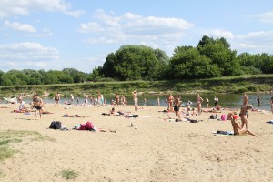 На Центральном пляже Брянска может быть ограничена парковка