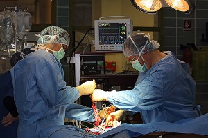 Мать отдаст дочери печень из-за паразита Мать отдаст дочери печень из-за паразита