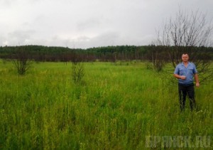 Под Дубровкой обнаружено 80 гектаров погибающих земель