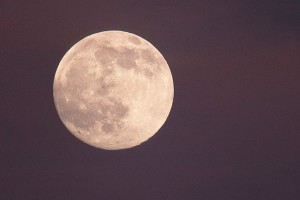 Шесть девушек изолируют для полета на Луну Шесть девушек изолируют для полета на Луну