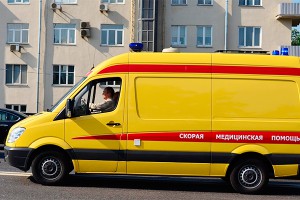 Москвич выкинул из окна школьницу и собаку Москвич выкинул из окна школьницу и собаку