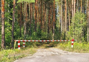 Особый противопожарный режим снят