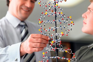 Ученые: У человека 193 тысячи родственников Ученые: У человека 193 тысячи родственников