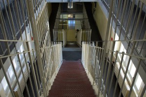 Наркобарон сбежал из тюрьмы с помощью птицы Наркобарон сбежал из тюрьмы с помощью птицы