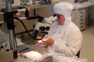 Ученые вырастили первое живое сердце Ученые вырастили первое живое сердце