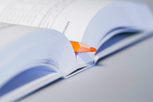 Политиков хотят проверить на грамотность Политиков хотят проверить на грамотность