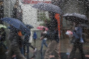 Москвичей предупредили о стихийных бедствиях Москвичей предупредили о стихийных бедствиях