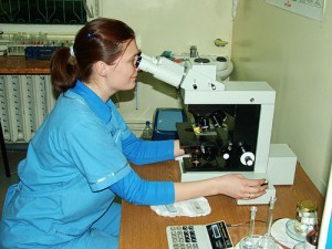 АЧС добралась до Брянской области