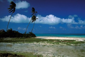 Жителю тонущего острова отказали в убежище Жителю тонущего острова отказали в убежище