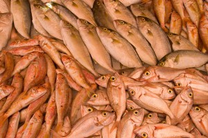 В России резко подешевеет рыба В России резко подешевеет рыба