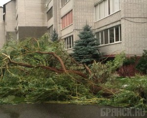 Стихия добавила работы спасателям и коммунальщикам Фото: vk.com