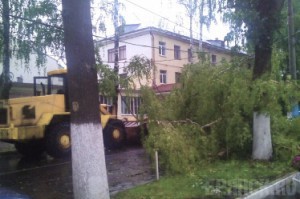 В девяти районах Брянской области настал «конец света»