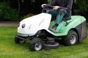 Газонокосильщика посадили за убийство утят Газонокосильщика посадили за убийство утят