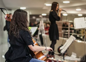 Жители Брянска смогут подарить городу песню