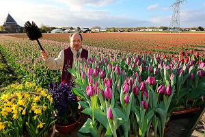 Голландцев напрягают идеи Россельхознадзора Голландцев напрягают идеи Россельхознадзора