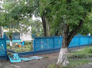 В Брянске рухнувшие деревья сломали забор детского сада