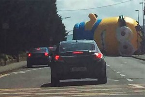 Миньон-гигант парализовал столицу Ирландии Миньон-гигант парализовал столицу Ирландии