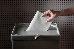 Внепарламентская альтернатива Внепарламентская альтернатива