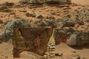 Curiosity выследил на Марсе краба (фото) Curiosity выследил на Марсе краба (фото)