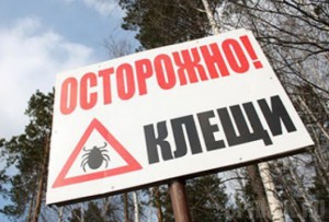 Клещи покусали более 300 юных жителей Брянской области
