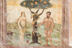 Бог создал Еву из полового органа Адама Бог создал Еву из полового органа Адама