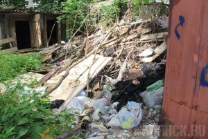 Волонтеры намерены провести антимусорный рейд