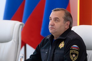 Медведев послал главу МЧС тушить леса Медведев послал главу МЧС тушить леса