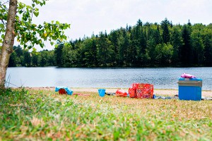 Пикник сочли причиной пожара на Москве-реке Пикник сочли причиной пожара на Москве-реке