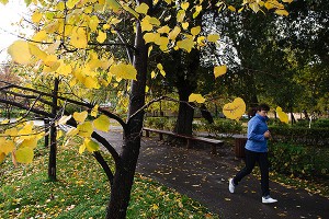 Осень придет на две недели раньше Осень придет на две недели раньше