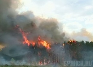 В Брянской области установлен высший класс пожароопасности