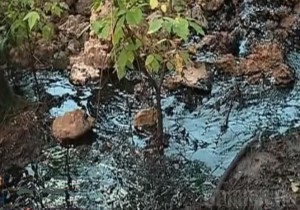 В брянском селе Супонево произошла утечка нефтепродуктов