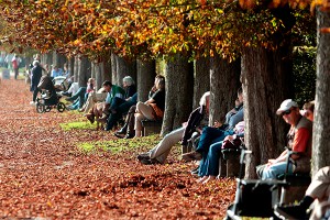 Когда в Россию придет бабье лето Когда в Россию придет бабье лето