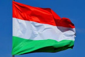 Венгры в ужасе от беспомощности Европы Венгры в ужасе от беспомощности Европы