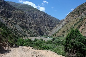 Террористам под Душанбе предъявлен ультиматум Террористам под Душанбе предъявлен ультиматум