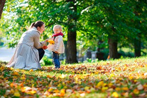 Москвичей испугали холодным бабьим летом Москвичей испугали холодным бабьим летом