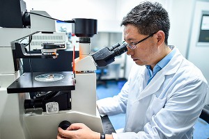 В Сибири найден гигантский вирус В Сибири найден гигантский вирус