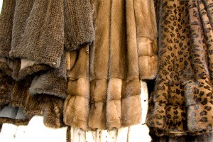 В России хотят уничтожать контрабандные шубы В России хотят уничтожать контрабандные шубы
