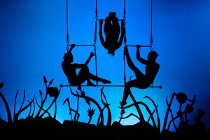 Упавшая гимнастка сломала позвоночник Упавшая гимнастка сломала позвоночник