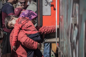 Почему в Европе возник миграционный кризис Почему в Европе возник миграционный кризис