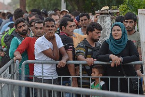 Беженцев предложили отправить в Арктику Беженцев предложили отправить в Арктику