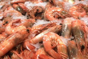 Откуда берутся белорусские креветки Откуда берутся белорусские креветки