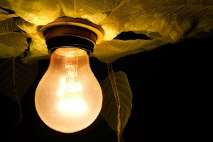 Украинцам предсказали "конец света" Украинцам предсказали "конец света"