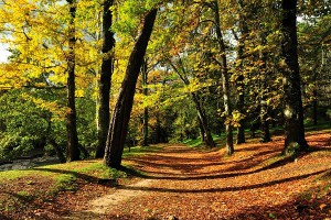 В выходные москвичей порадует солнце В выходные москвичей порадует солнце