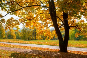 Москвичам продлили тепло до конца сентября Москвичам продлили тепло до конца сентября
