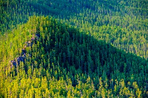 ОНФ расставит "Зеленые щиты" по всей стране ОНФ расставит "Зеленые щиты" по всей стране