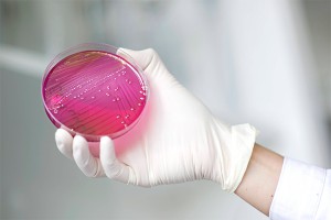 Каждый человек живет в облаке микробов Каждый человек живет в облаке микробов