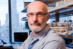 Выпускнику МГУ пророчат Нобелевскую премию Выпускнику МГУ пророчат Нобелевскую премию