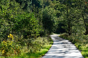 "Зеленый щит" ОНФ поддержали более 50 тысяч "Зеленый щит" ОНФ поддержали более 50 тысяч