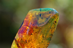 Ученые нашли предка возбудителя чумы Ученые нашли предка возбудителя чумы